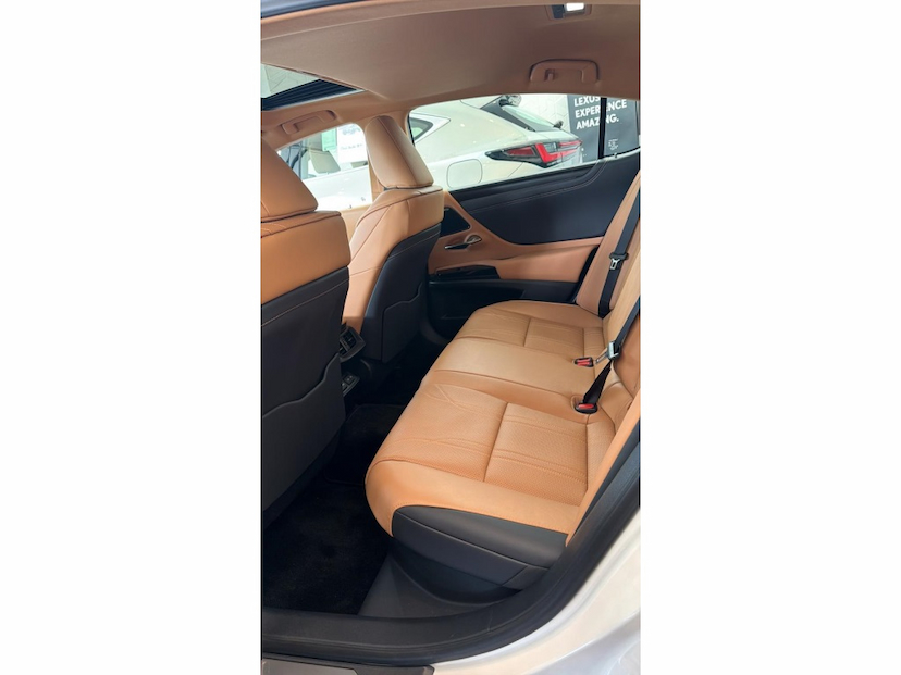 Foto do veículo LEXUS ES 300H 2.5 16V HÍBRIDO LUXURY CVT 2025 0 KM 339.777,00