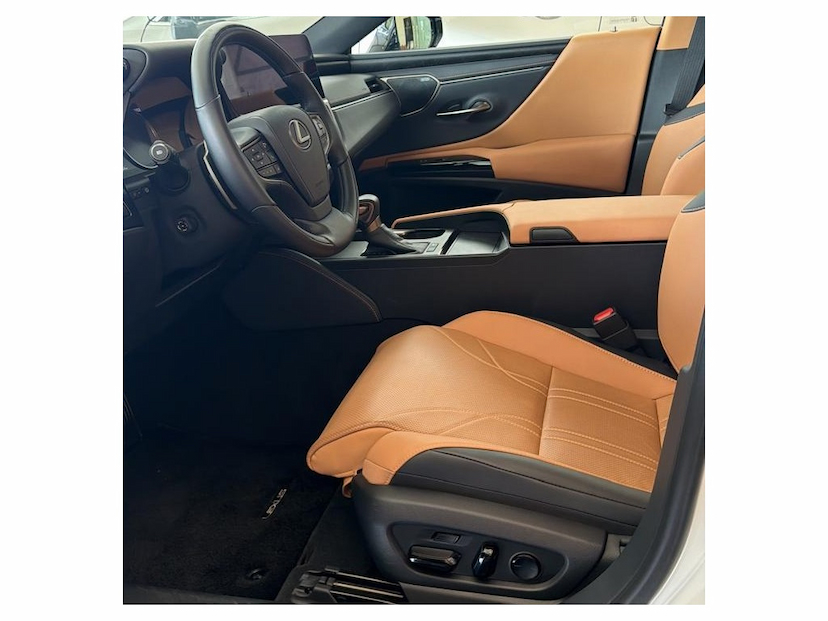 Foto do veículo LEXUS ES 300H 2.5 16V HÍBRIDO LUXURY CVT 2025 0 KM 339.777,00