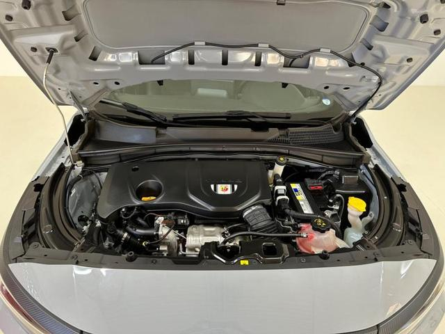 Foto do veículo FIAT PULSE  ABARTH 1.3 TURBO 16V FLEX AUT. 2023 15.015 KM 132.900,00
