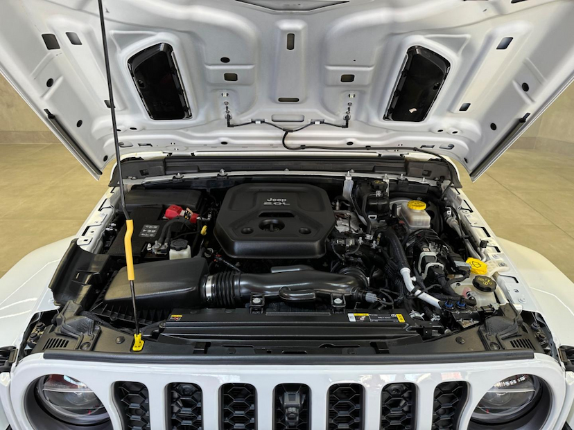 Foto do veículo JEEP WRANGLER  RUBICON 2.0 TURBO 4X4 4P AUT. 2022 13.100 KM 419.900,00