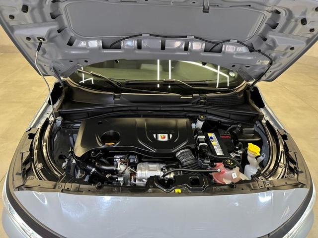 Foto do veículo FIAT PULSE  ABARTH 270 2023 7.966 KM 130.900,00