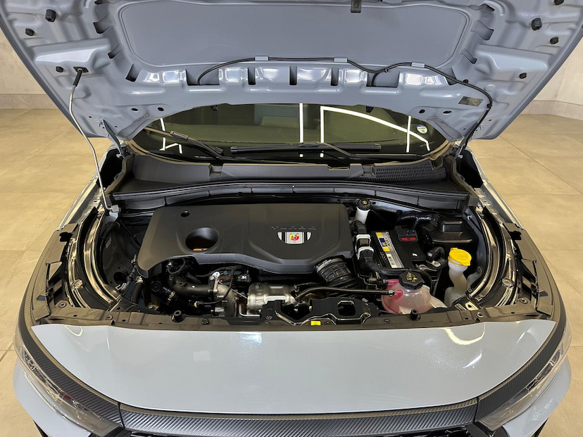 Foto do veículo FIAT PULSE  ABARTH 270 2024 5.210 KM 136.900,00
