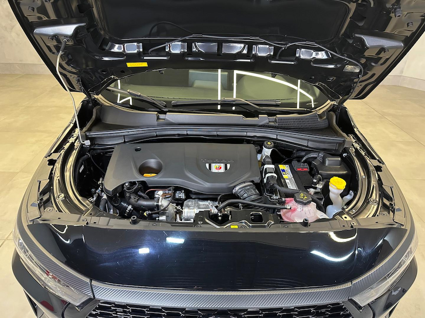 Foto do veículo FIAT PULSE  ABARTH 1.3 TURBO 16V FLEX AUT. 2025 8.500 KM 140.900,00