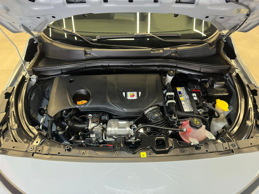 Foto do veículo FIAT PULSE  ABARTH 1.3 TURBO 16V FLEX AUT. 2024 7.826 KM 129.900,00