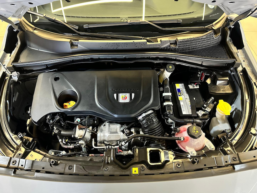 Foto do veículo FIAT PULSE  ABARTH 270 2024 8.980 KM 129.900,00
