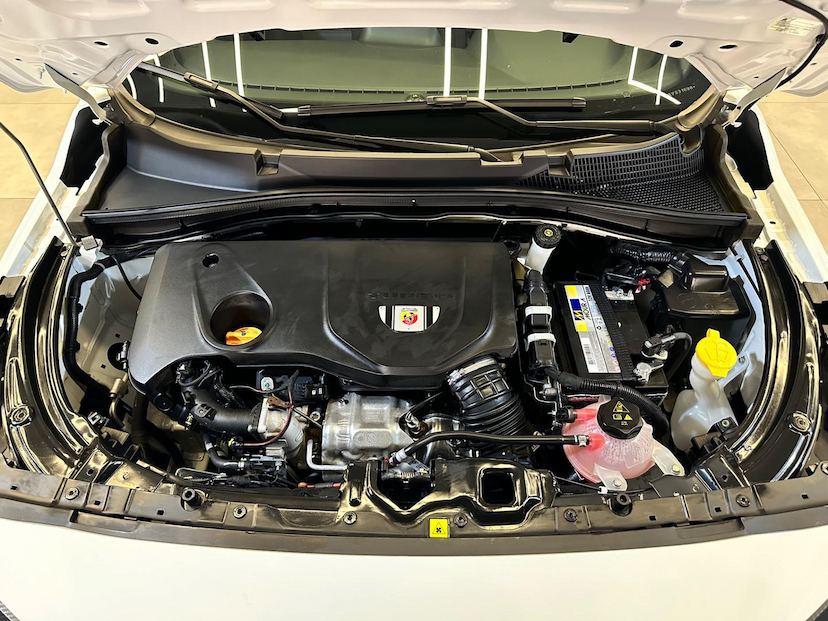 Foto do veículo FIAT PULSE  ABARTH 270 2024 11.273 KM 128.900,00