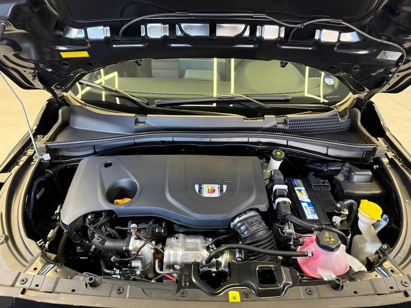 Foto do veículo FIAT PULSE  ABARTH 270 2025 1.015 KM 132.900,00