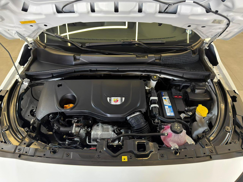 Foto do veículo FIAT PULSE  ABARTH 270 2025 1.188 KM 132.900,00