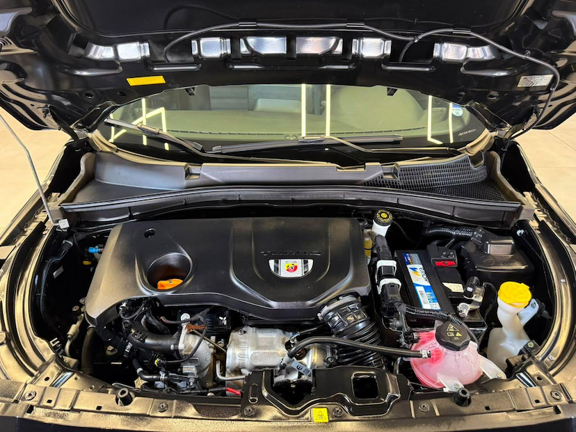Foto do veículo FIAT PULSE  ABARTH 270 2025 6.484 KM 126.900,00