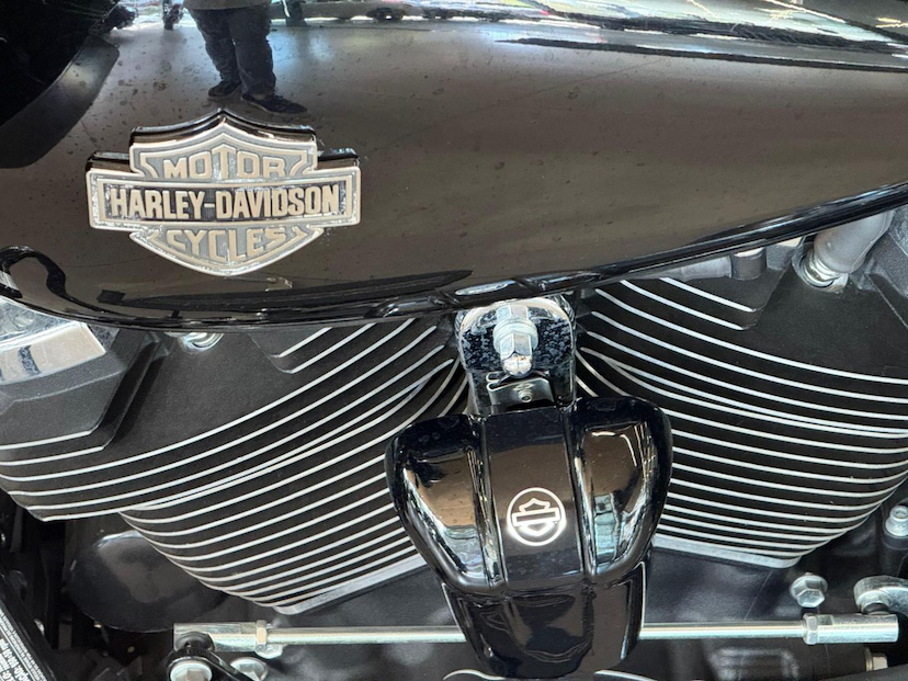 Foto do veículo HARLEY-DAVIDSON ROAD GLIDE LIMITED  GLIDE SPECIAL 2021 1.469 KM 129.000,00