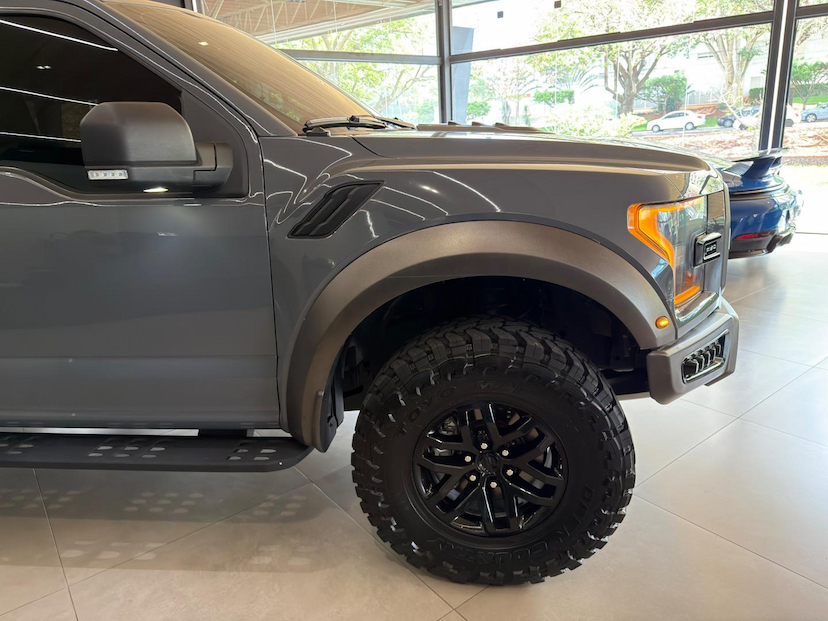 Foto do veículo FORD F-150  RAPTOR 2018 91.350 KM 590.000,00