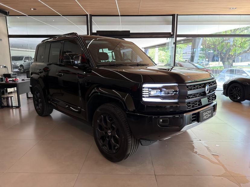 Foto do veículo DENZA B5 DENZA  GS 2027 3.900 KM 449.000,00